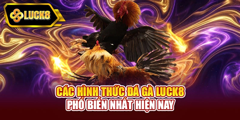 Các hình thức đá gà Luck8 phổ biến nhất hiện nay