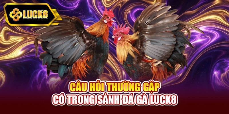 Câu hỏi thường gặp có trong sảnh đá gà Luck8