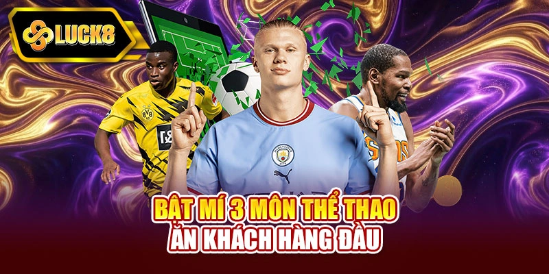 Bật mí 3 môn thể thao ăn khách hàng đầu